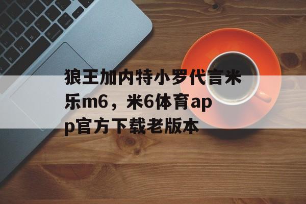 狼王加内特小罗代言米乐m6，米6体育app官方下载老版本